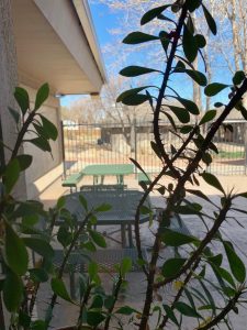 Outside 1116 Studios courtyard